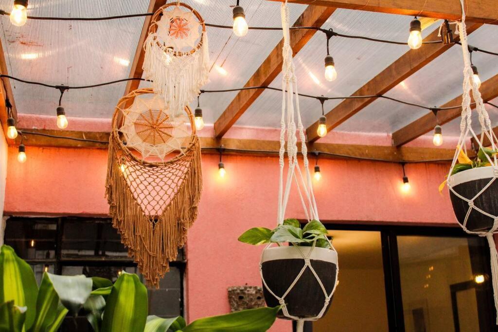New Mex Inspired Bo-Ho Chic Apartment With Private Patio And Roof Terrace مدينة مكسيكو المظهر الخارجي الصورة