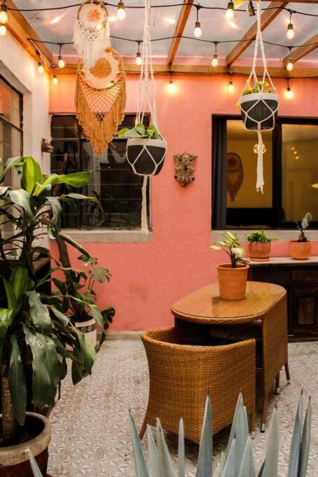New Mex Inspired Bo-Ho Chic Apartment With Private Patio And Roof Terrace مدينة مكسيكو المظهر الخارجي الصورة