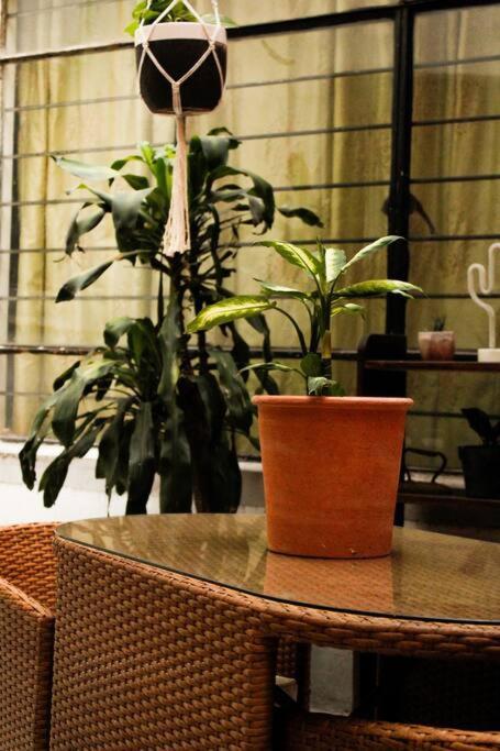 New Mex Inspired Bo-Ho Chic Apartment With Private Patio And Roof Terrace مدينة مكسيكو المظهر الخارجي الصورة