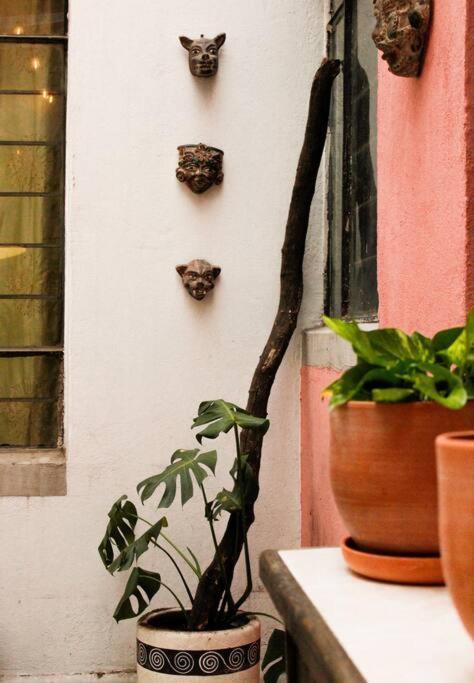 New Mex Inspired Bo-Ho Chic Apartment With Private Patio And Roof Terrace مدينة مكسيكو المظهر الخارجي الصورة